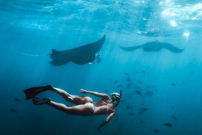 Full Day Nusa Penida Manta Point Snorkeling and West Island Tour - One hour at Manta Point
