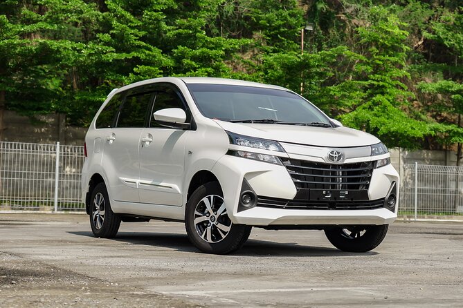 Full-Day Private Car Charter in Bali with Local Guide - Why a private car makes sense in Bali