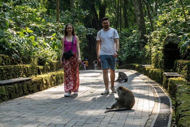 Full-Day Private Car Charter in Bali with Local Guide - Picheaven Bali Swing: pay for the photo opportunity