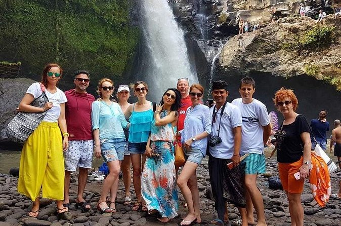Full-day Private Cultural Tour of Ubud in Bali - Tegenungan Waterfall for a change of pace