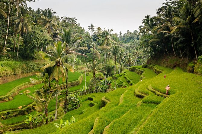 Full-Day Private Guided Exploring Bali as You Wish Tour - The real appeal: your day, not a preset route
