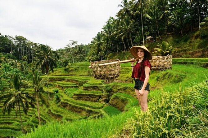 Full Day Private Guided Tour in Bali - What this private Ubud day tour is really offering