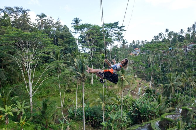 Full Day Private Guided Tour to Bali - Tegalalang Rice Terrace and the farming countryside