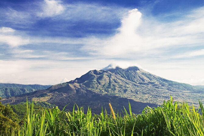 Full Day Private Guided Tour to Bali - Sacred Monkey Forest Sanctuary in Ubud