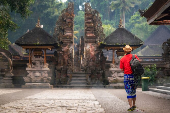 Full Day Private Guided Tour to Bali - Optional Ubud sights: choose, do not collect