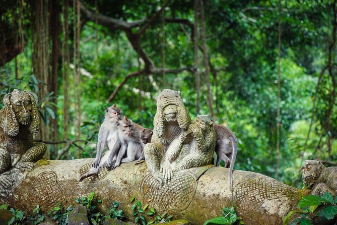Full Day Private Guided Tour to Bali - The driver-guide can make or break the day
