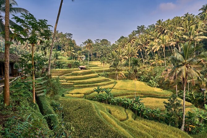 Full Day Private Guided Tour to Bali - Tegenungan Waterfall: a scenic first stop