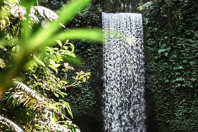 Full Day Private Tour All Inclusive Hidden Gems Bali Waterfall - Tibumana: the calm middle act