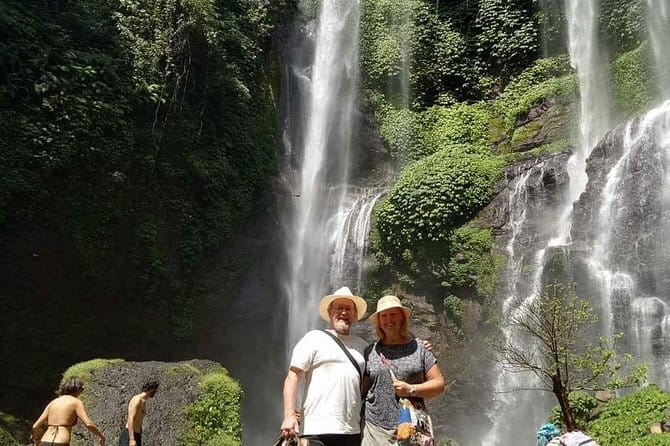 Full Day Private Tour All Inclusive Hidden Gems Bali Waterfall - What the private driver adds to the day