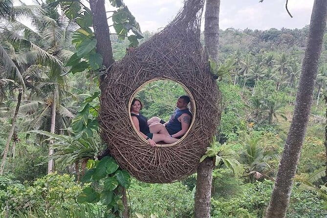 Full Day Private Tour from Tegenungan Waterfall to Tanah Lot - Tegalalang Rice Terrace and Bali’s farming system