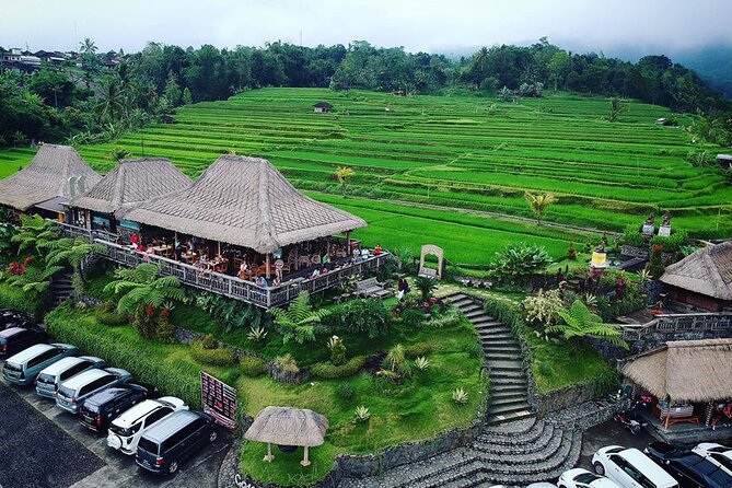 Full Day Private Water Temples Tour in Bali - Ulun Danu Bratan: Bali’s lake temple in the highlands