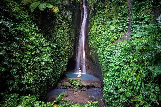Full-Day Tour to Water Temples and UNESCO Rice Terraces in Bali - The Driver and Guide Make the Difference
