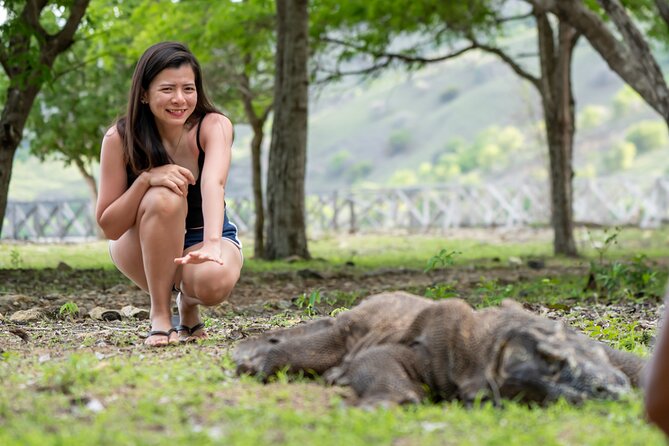 Full Day Trip to Explore 6 Destinations in Labuan Bajo and Komodo - Food, drinks, and boat comfort