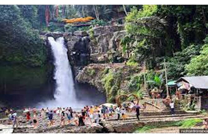 Full day Ubud and Tanah Lot tour - Why this four-stop route works for Bali