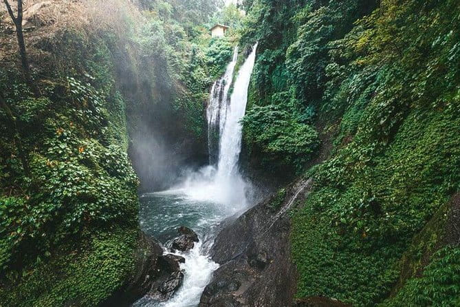 Full day Ubud and Tanah Lot tour - The day’s pace and who should book