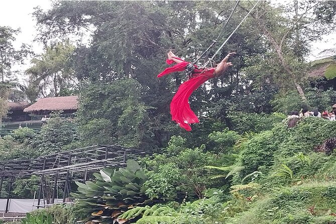 Full Day Ubud Tour - A full Ubud day from Seminyak
