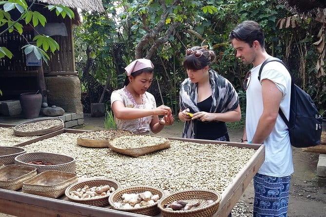 Full-Day Ubud Village including Mt Batur Tirta Empul and Sightseeing Tour - Mount Batur Lunch With a Volcano View
