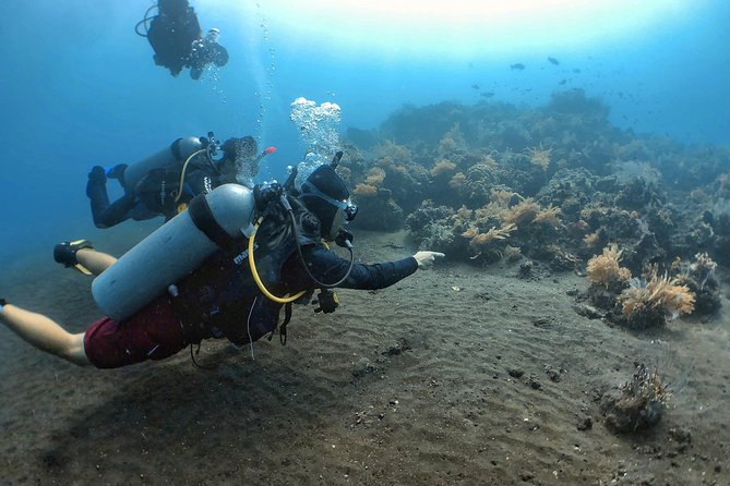 Fun Diving Tulamben Bali - For Certified Divers - Why Tulamben’s USAT Liberty matters