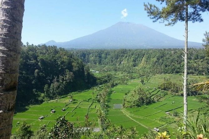 Gate Heaven Lempuyang Tirta Gangga East Bali Private Guided Tour - What is included, and what costs extra