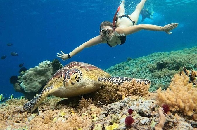 Gili Air: Snorkeling 3 Gili Islands with GoPro Camera - What the GoPro service adds