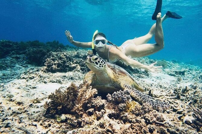 Gili Air: Snorkeling 3 Gili Islands with GoPro Camera - Underwater sculptures near Gili Meno