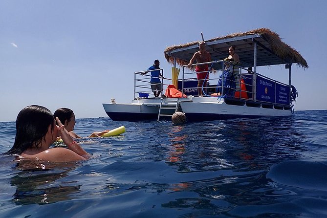 Gili Hai 3 Islands BBQ Cruise - Turtle Point and the best chance for wildlife