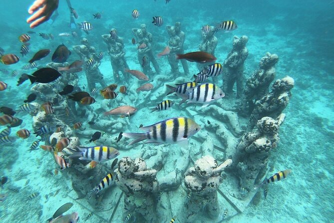 Gili island Snorkeling Half Day Trip departure from Gili Trawangan - Key points to know before you book