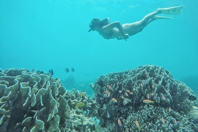 Gili island Snorkeling Half Day Trip departure from Gili Trawangan - Gili Air, coral, reef fish, and lunch
