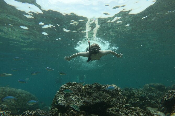 Gili island Snorkeling Half Day Trip departure from Gili Trawangan - What the shared boat is really like
