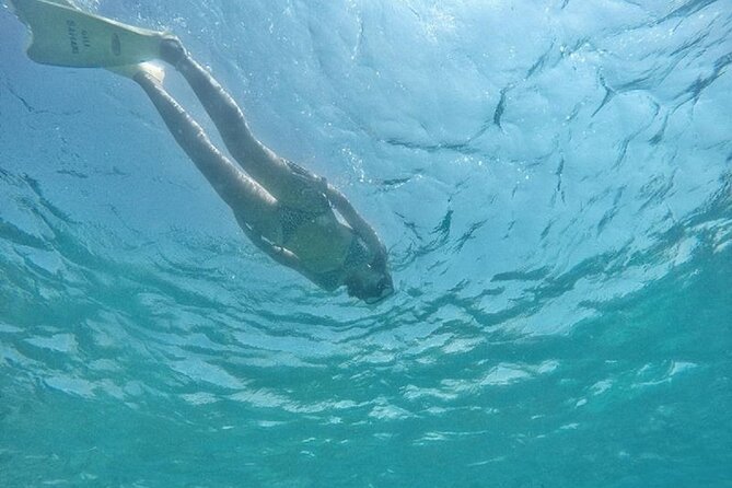 Gili island Snorkeling Half Day Trip departure from Gili Trawangan - Equipment, swimming, and what to pack