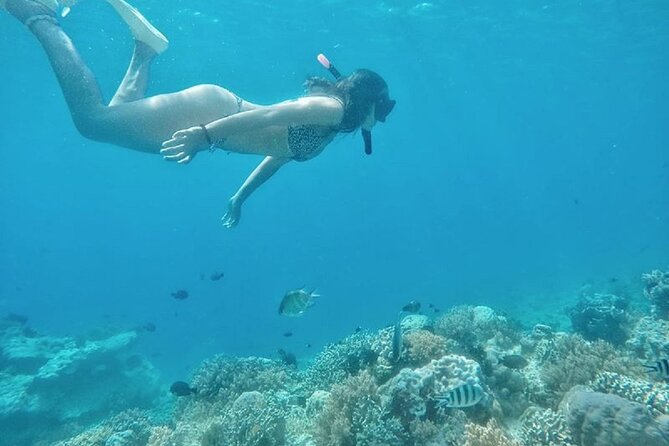 Gili island Snorkeling Half Day Trip departure from Gili Trawangan - The best and weakest parts of the value