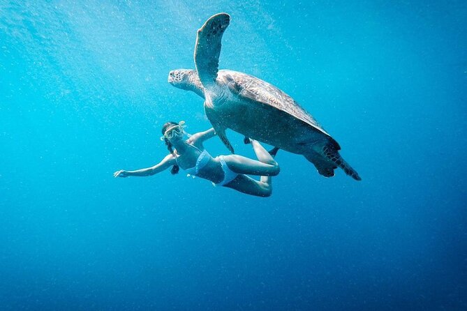 Gili Island Snorkeling Trip - Gili Trawangan, Gili Meno, & Gili Air, From Lombok - Key points at a glance