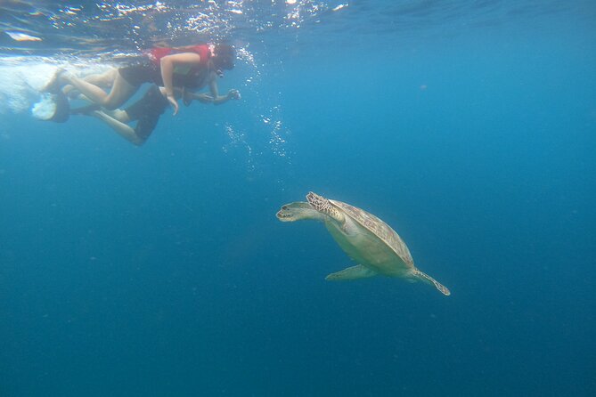 Gili Trawangan & Gili Air Snorkeling Tour Turtles & Statue - Gili Air and the Fish Garden stop