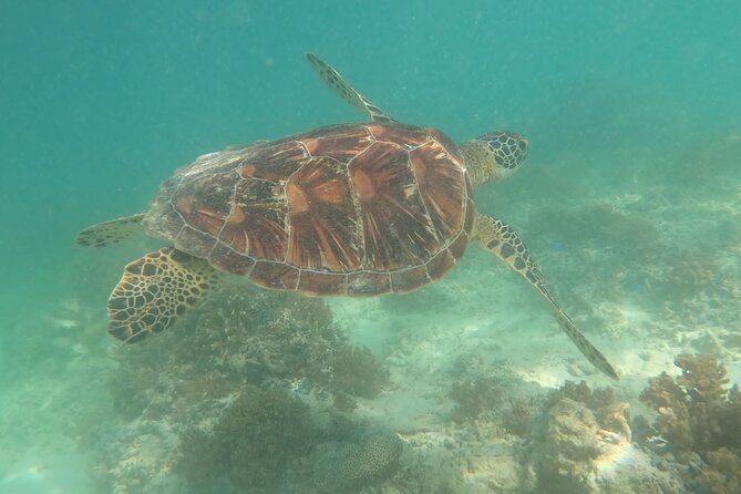 Gili Trawangan & Gili Air Snorkeling Tour Turtles & Statue - What to bring for a smoother day