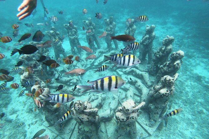 Gili Trawangan,Gili Meno& Gili Air Island:Snorkeling Day Trip Depart from Lombok - Key points to know before you book