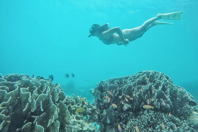 Gili Trawangan,Gili Meno& Gili Air Island:Snorkeling Day Trip Depart from Lombok - The public boat ride from Lombok