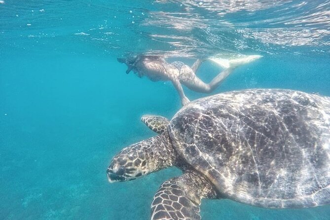 Gili Trawangan,Gili Meno& Gili Air Island:Snorkeling Day Trip Depart from Lombok - Gili Air, lunch, and the fish garden