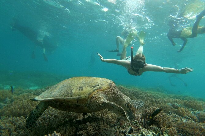 Gili Trawangan,Gili Meno& Gili Air Island:Snorkeling Day Trip Depart from Lombok - What the guides add to the day