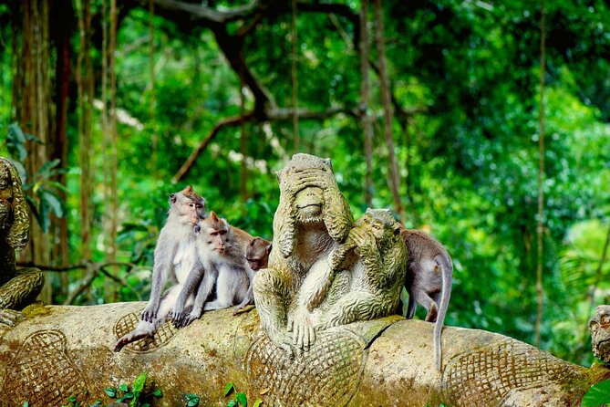 Goa Gajah / Elephant Cave Temple And Ubud Tour - All Inclusive - One Day From Seminyak Into Ubud