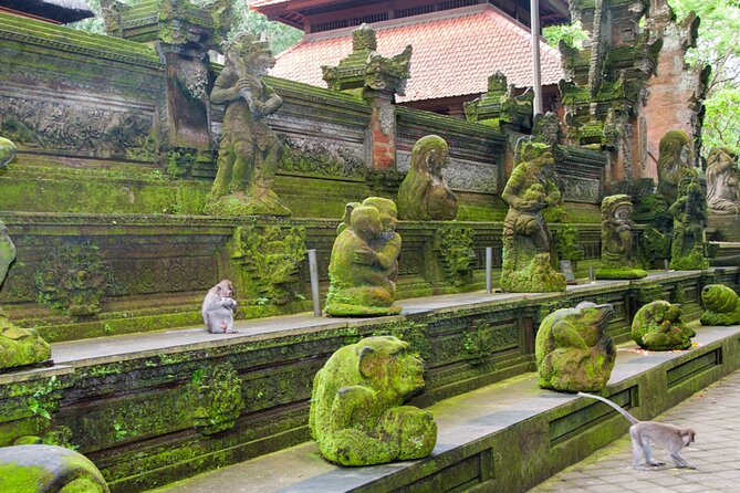 Goa Gajah / Elephant Cave Temple And Ubud Tour - All Inclusive - The d’Alas Swing And A Jungle View