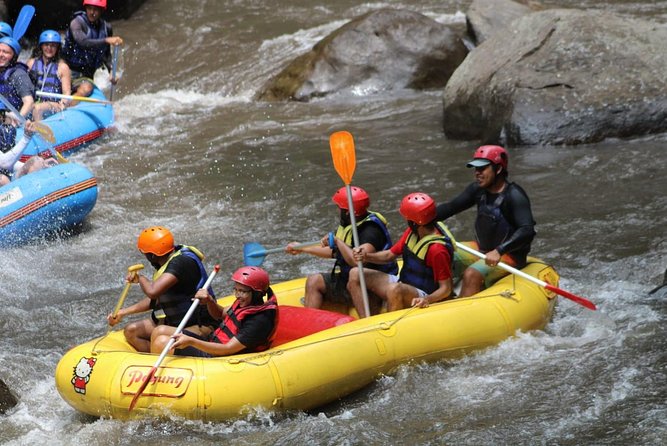 Green Bali Rafting Ticket And Transfer - Who should book this rafting trip?