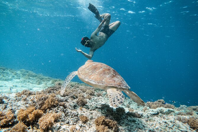 Group Snorkeling Tour Gili Islands Including GoPro Documentation - Meeting near Gili Trawangan harbor