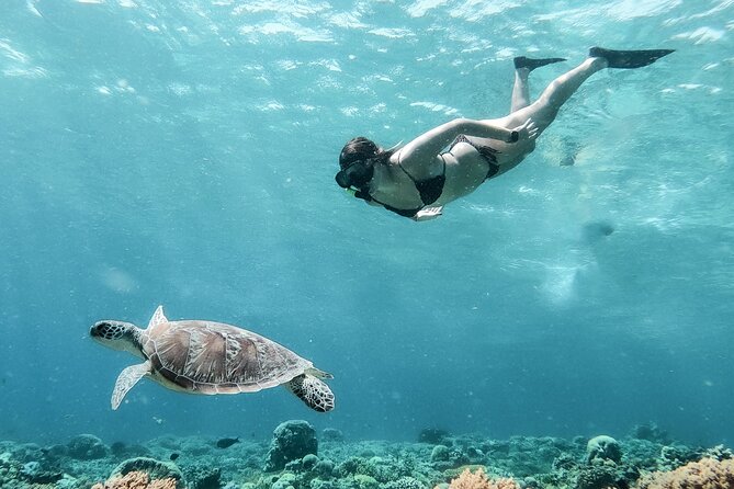 Group Snorkeling Tour Gili Islands Including GoPro Documentation - Stop one: underwater statues and sea-floor art