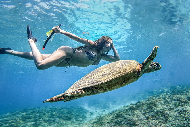 Group Snorkeling Tour Gili Islands Including GoPro Documentation - Stop three: coral, fish, and open water