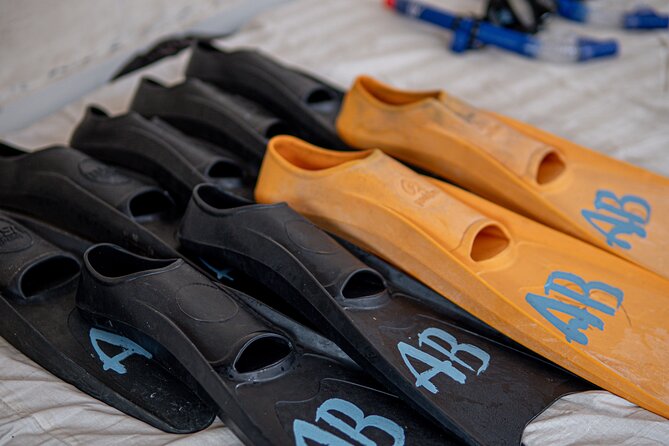 Group Snorkeling Tour Gili Islands Including GoPro Documentation - How the GoPro changes the value