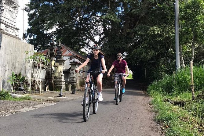 Half Day Cycling Tour ( Manual Bike ) - Bresela rice fields and Bali’s water system