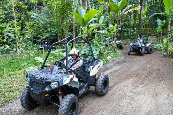 Half Day Jungle Buggies in Bali with Guide - Early pickup from Kuta and the ride inland