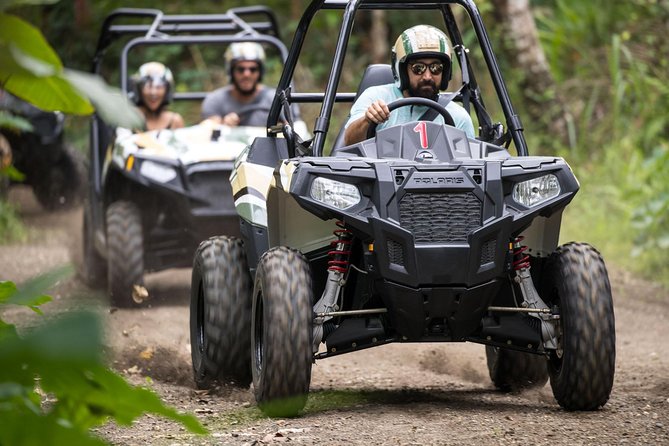 Half Day Jungle Buggies in Bali with Guide - Chocolate at the Mason Gourmet showroom