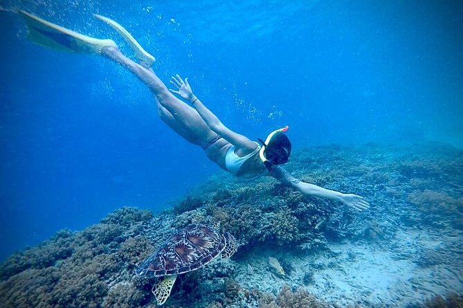 Half-Day Private Guided Snorkeling Turtles Underwater Statues - Equipment, boats, and safety checks