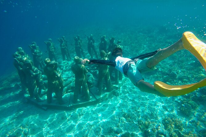 Half-Day Private Guided Snorkeling Turtles Underwater Statues - When to go and what to bring